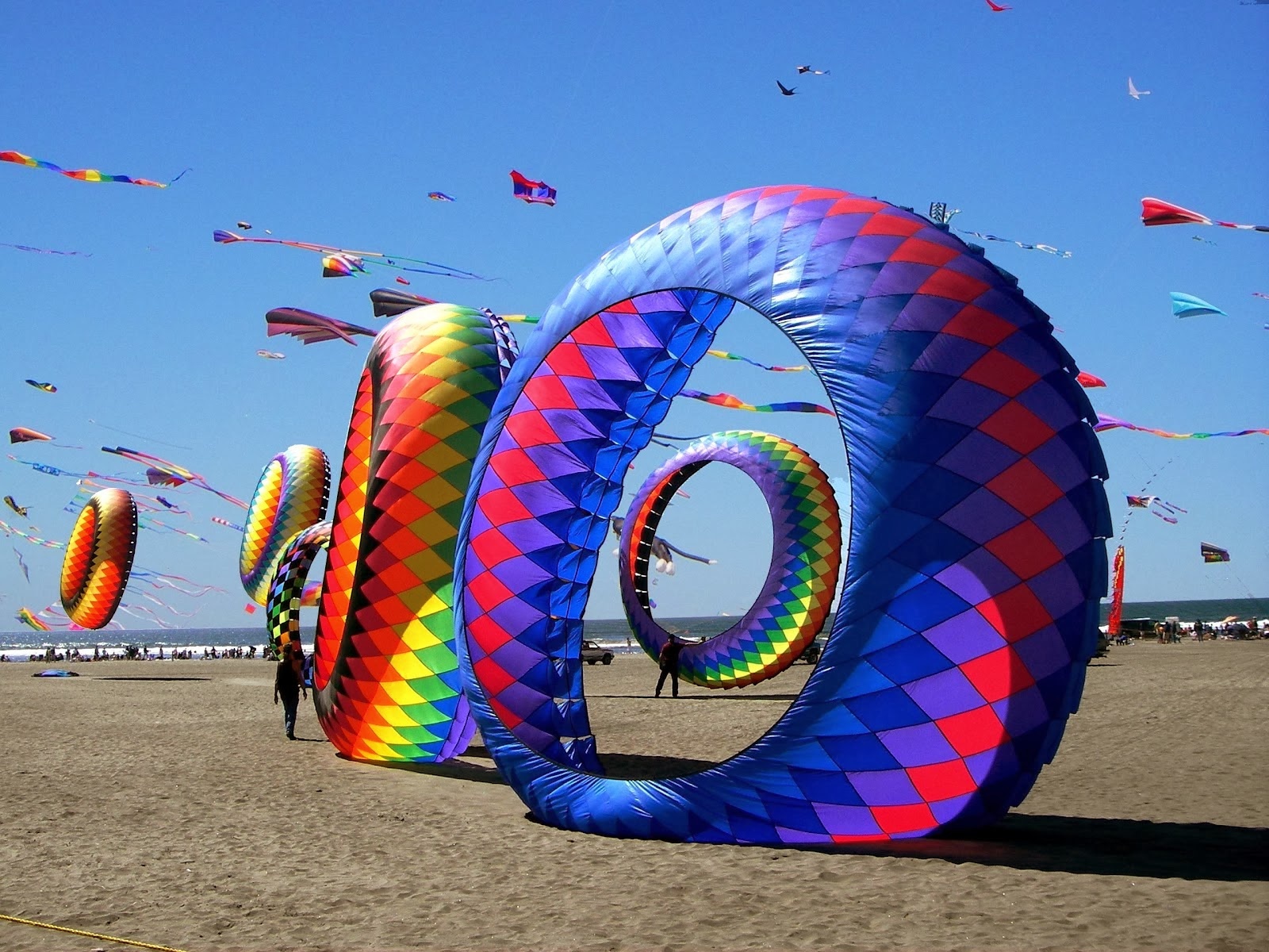 Colorful Ring Kites At Sandy Beach Against Clear Sky On Sunny Day